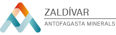 AM ZALDIVAR