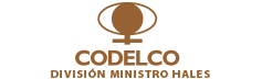 CODELDO DIVISION MINISTRO HALES